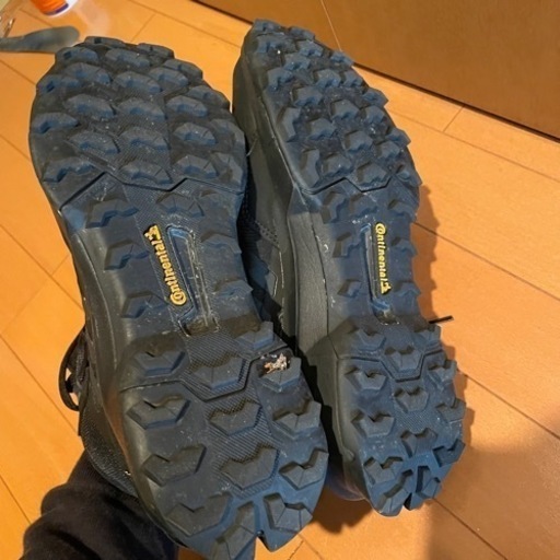 アディダス　トレッキングシューズ テレックス AX4 GORE-TEX