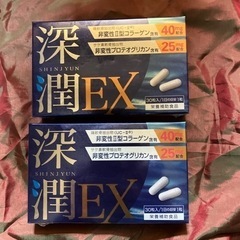 ☆最終特価セール☆ プロテオグリカン 深潤E X  2箱2ヶ月分