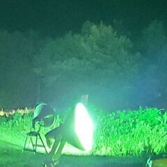 【配送も可】天然オオクワガタ ♂♀♀ 山形県産-4