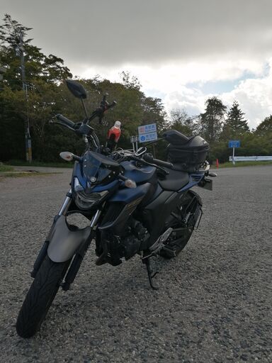 【転倒アリ格安】FZ25 - 2017 【実働】