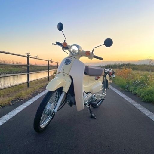 HONDA スーパーカブ 50 AA09 バージンベージュ