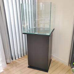 【写真追加】熱帯魚 ガラス水槽セット