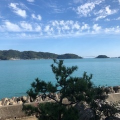 平日の海釣り友達募集🎣 − 大阪府