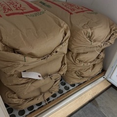 【順次調整しています】揖斐郡令和4年産　ハツシモ玄米　30kg