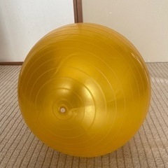 バランスボール 55cm