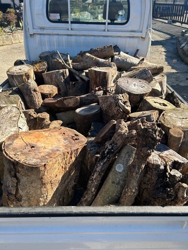 乾燥薪原木40から50cm