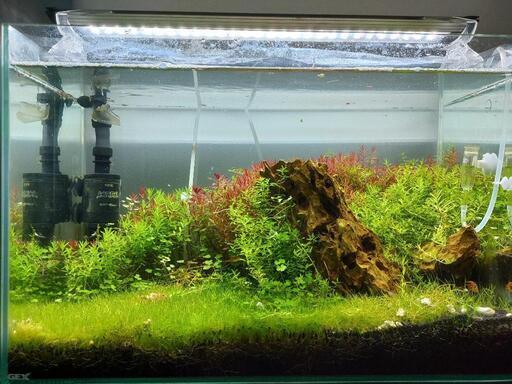 60cm水槽セット