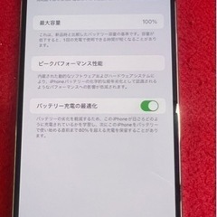 iPhone14 Pro Max 1TB バッテリー100%