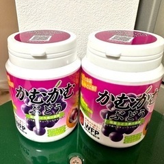 かむかむ　ぶどう🍇ボトル入り　2個