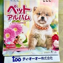ペットアルバム2024年カレンダー　子犬カレンダー