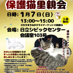 ひたちまちにゃか保護猫里親会(2024/1)