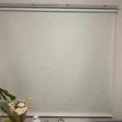 ニトリ　遮光ロールスクリーン(ドルフィンWH)165x220cm