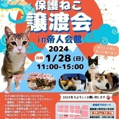 第３３回保護猫譲渡会in岩国　帝人会館