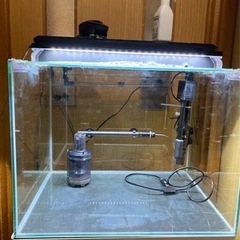 水槽セット　14000円に変更しました。 水槽セット 14000円に変更しました。