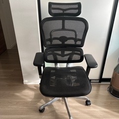 エルゴヒューマンPro NF1811-001579 美品