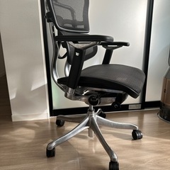 エルゴヒューマンPro NF1811-001579 美品