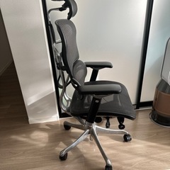 エルゴヒューマンPro NF1811-001579 美品