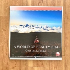 JAL 2024 カレンダー　A WORLD OF BEAUTY 