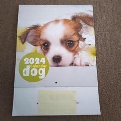 2024年 犬のカレンダー