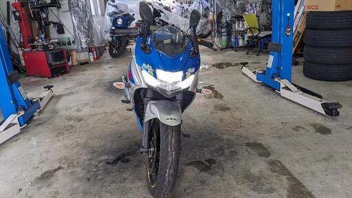 ジクサーSF250☆低走行☆100周年エクスターカラー