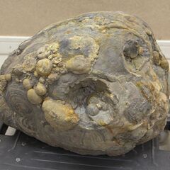 鑑賞石 流紋岩 約25㎏ 原石 飾石 水石 天然石 (R2352nxY) - 置物、オブジェ