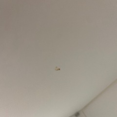 新品同様PING G430ハイブリッド 4U CHROME85S-【トレファク 岸和田】ニトリ レンジボード 入荷しました。