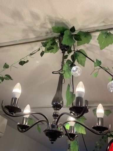 ラスト1点！【Francfranc】ブラックシャンデリアライト アントイン