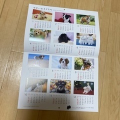 壁掛け　仔犬ちゃん　カレンダー2024年