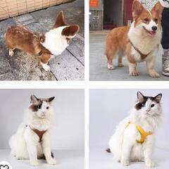 半額！新品 小型犬猫用ハーネスXSサイズ（胸囲26〜31cm適正...