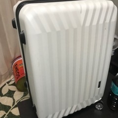 旅行用かな。大きめのバックと言うか入れ物