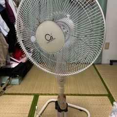 【早い者勝ち】引取希望 扇風機　タダで譲ります