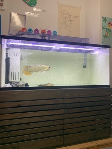 水槽一式セット　最終値下げ！破格です！