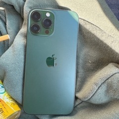 iPhone 13 Pro Max 256