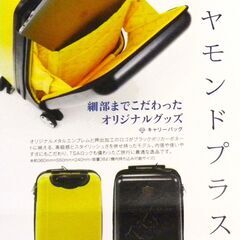 ★ 祝 ! 阪神タイガース 日本一記念 ○ レア品 ○ 非売品 ○ 未使用 ★ ミズノ製品 ★ オリジナル キャリーケース ○ スーツケース ★ ☆ 祝 ! 阪神タイガース 日本一記念 ○ レア品 ○ 非売品 ○ 未使用 ☆