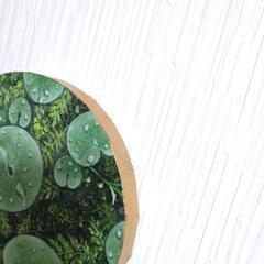 【原画油絵】〜潤い〜◆1点物絵画