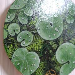 【原画油絵】〜潤い〜◆1点物絵画