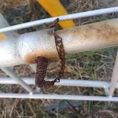 園芸用三脚 12尺