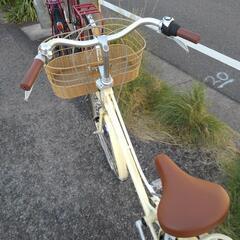 1/19まで取り置き　商談中!!