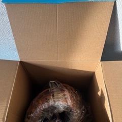 SSK プロエッジ硬式用グローブ