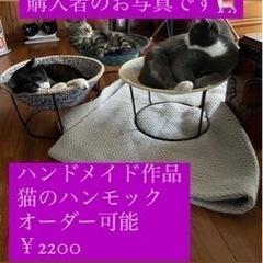 ねこのハンモック😸