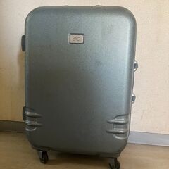 スーツケース　40×55
