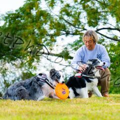 【モニター＆モデル募集・参加特典あり】　犬と過ごす時間を撮影