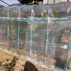 ビニールハウス　コメリ豊作ベジハウス