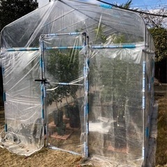 ビニールハウス　コメリ豊作ベジハウス