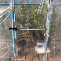 ビニールハウス　コメリ豊作ベジハウス