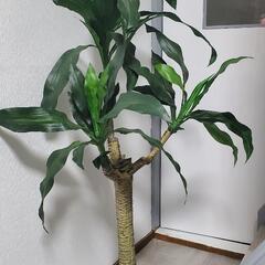 【16.17日限定値下げ】フェイク観葉植物🌿