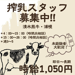 【レア求人】酪農牧場にて搾乳スタッフ募集♬日払いOK☆彡
