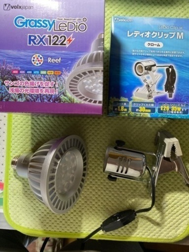 Grassy LeDio RX122 Reef  レディオクリップM