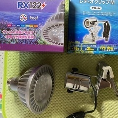 Grassy LeDio RX122 Reef  レディオクリップM