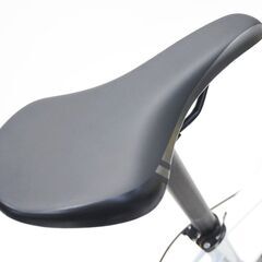 GIANT 「ジャイアント」 IDIOM 1 2021年モデル 20インチ ミニベロ